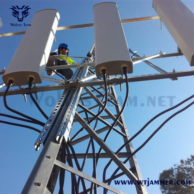 주문 12 대역 1200W 장거리 방수 외관 방해기 교체 가능한 방향 안테나 GSM CDMA 4G 5G 온라인 제조